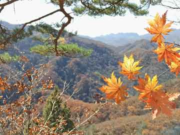 共赴團(tuán)圓之約，品味多民族特色美食的盛宴